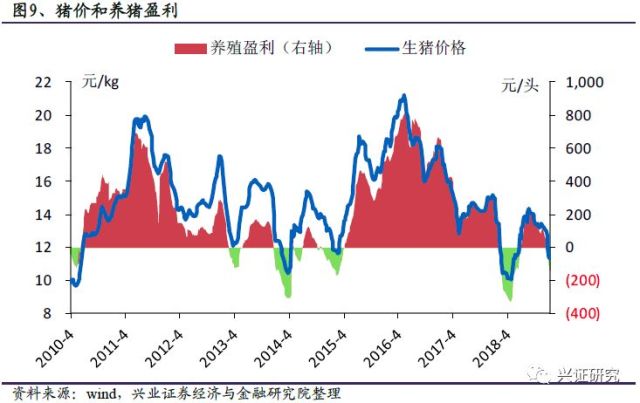 新五丰最新动态深度分析与观点阐述