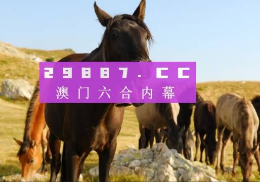 澳门管家婆 - 100383.com,现况评判解释说法_LFV78.344神秘版，2024新澳最快最新资料