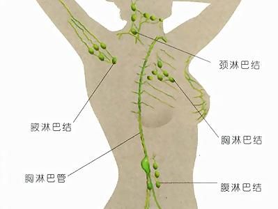 淋巴水肿最新疗法，自然美景下的治愈之旅