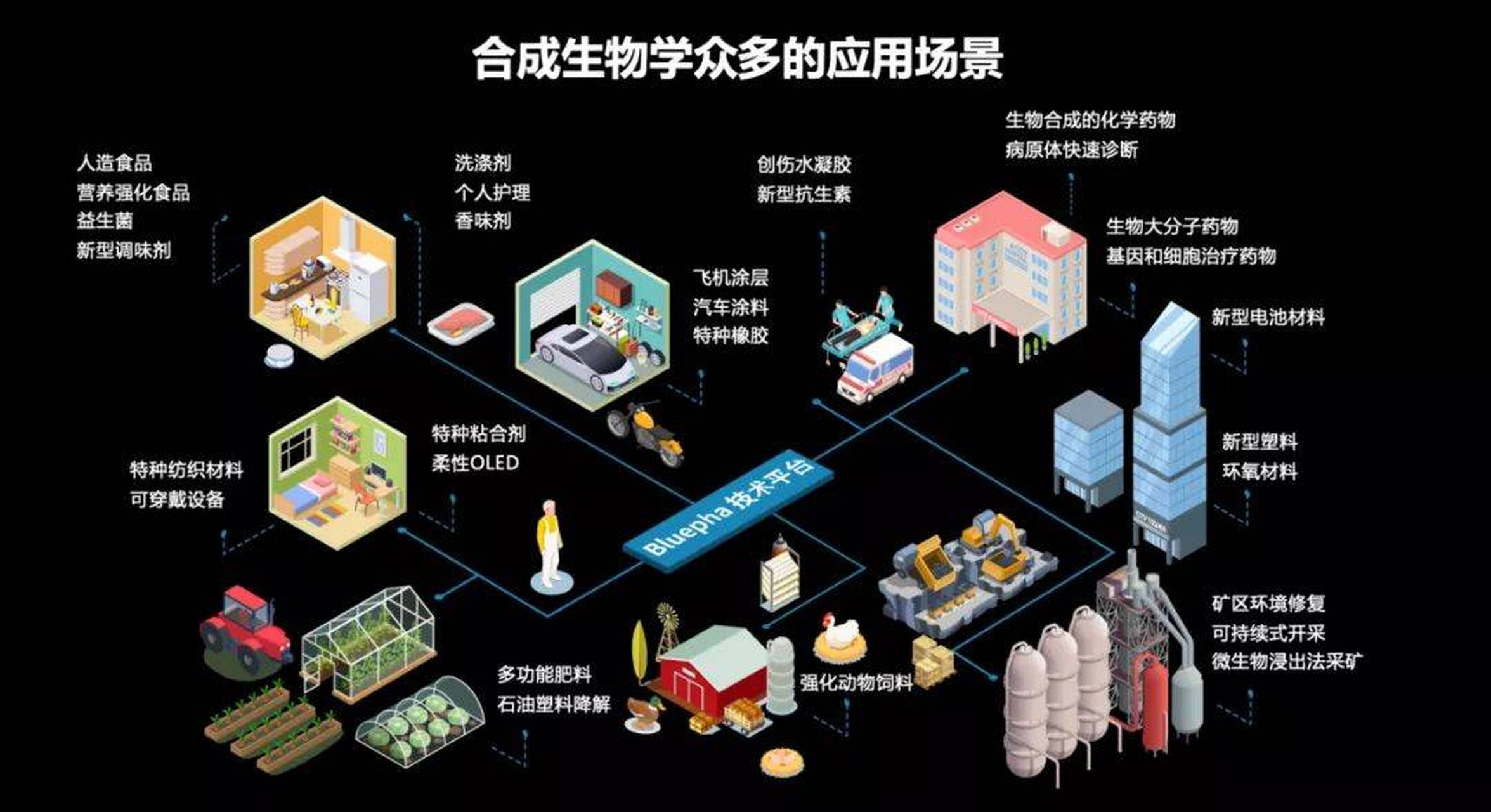 最新生物谷，探索生物学的详细步骤指南