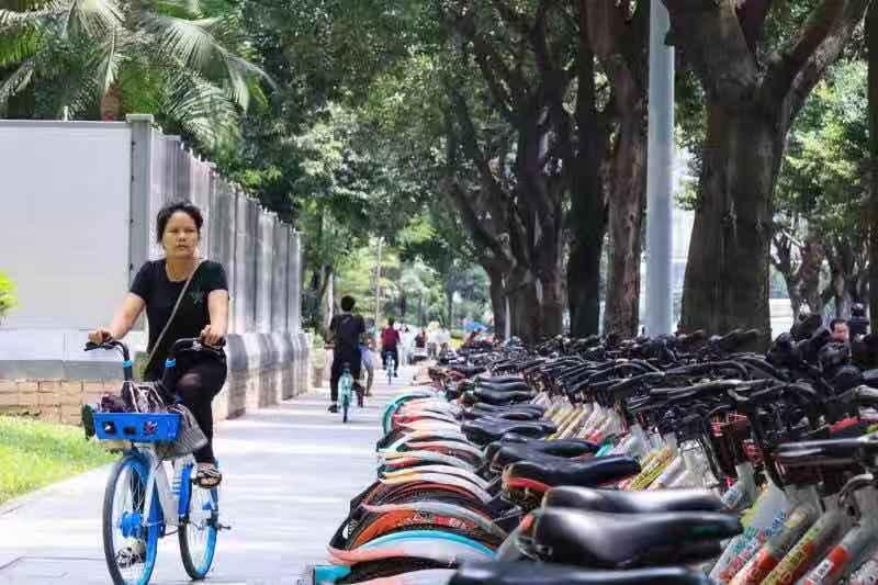 小黄车最新动态与共享出行发展趋势