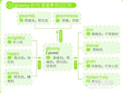 2024四不像正版最新版本,高效性设计规划_AMI32.736仿真版