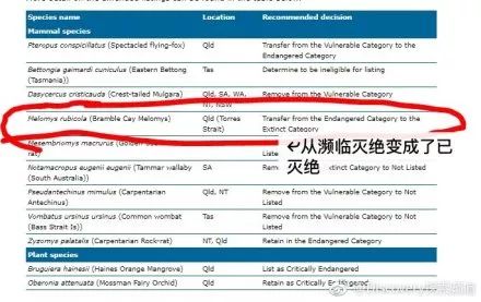 新澳今天最新资料网站,实践调查说明_EDH32.848运动版