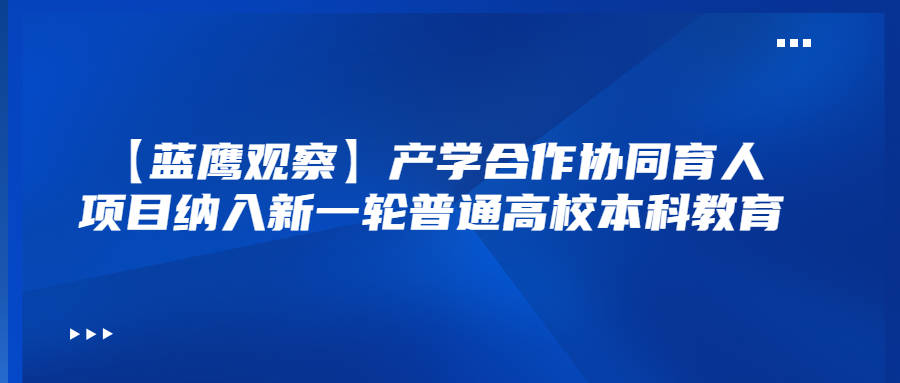 13081cm新奥头条,可靠执行操作方式_WNP32.767设计师版