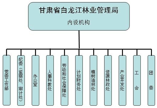 白龙江林管局最新任命揭晓，观点论述深度剖析