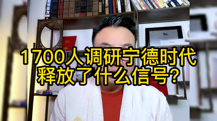 宁德市最新人事调整及其动态分析