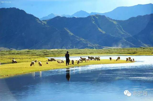 广西糖价最新动态与甜蜜之旅的双重探索，自然美景与甜蜜产业的奇妙交融