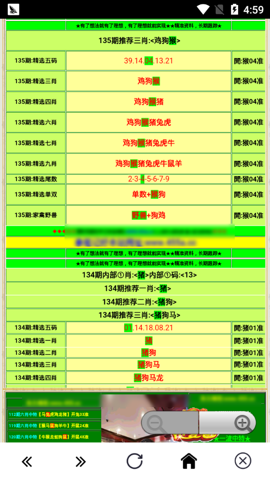 澳门正版蓝月亮精选大全,灵活实施计划_薄荷版48.875-6