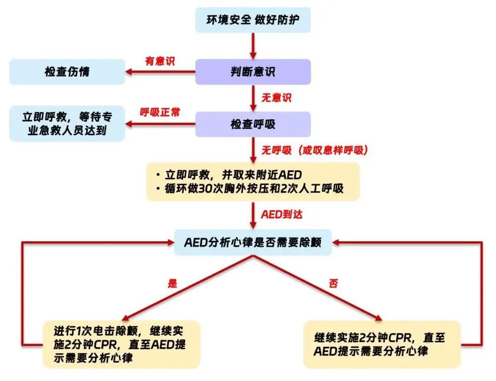 最新CPR流程详解，全面解析助你轻松掌握！