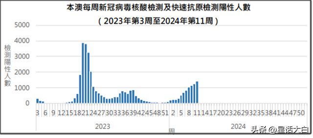 新澳2024今晚开奖结果,数据设计驱动策略_经典款72.410-9