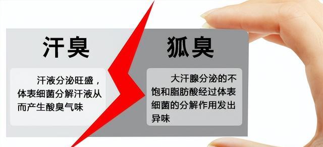 最新狐臭研究观点论述，探索狐臭的科学奥秘与防治策略