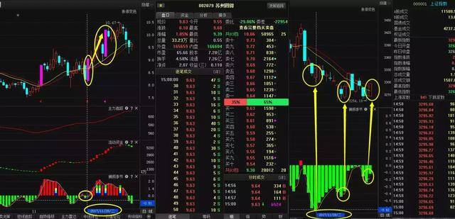 三肖三期必出特马,数据支持计划解析_影像版32.497-7