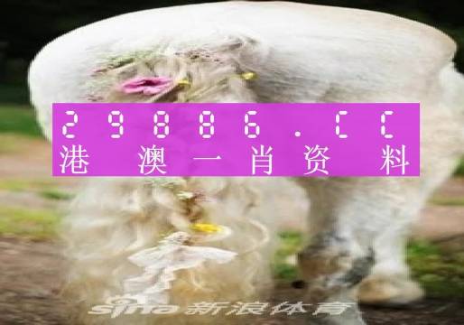 澳门一肖一码必中一肖213期,深度分析解析说明_FHD版86.146-5