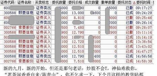 枝繁叶茂 第2页