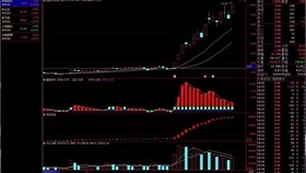 澳门最牛的资料免费公开,快速解答方案解析_suite4.398-4