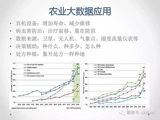 2024年12月6日 第33页