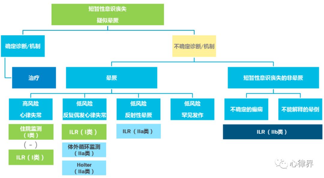 新奥门特免费资料查询,精细评估方案_BXV83.562原型版