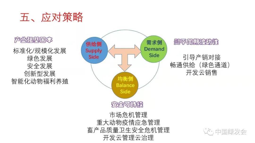 三肖必中三期必出三肖,深入登降数据利用_GZA83.798移动版