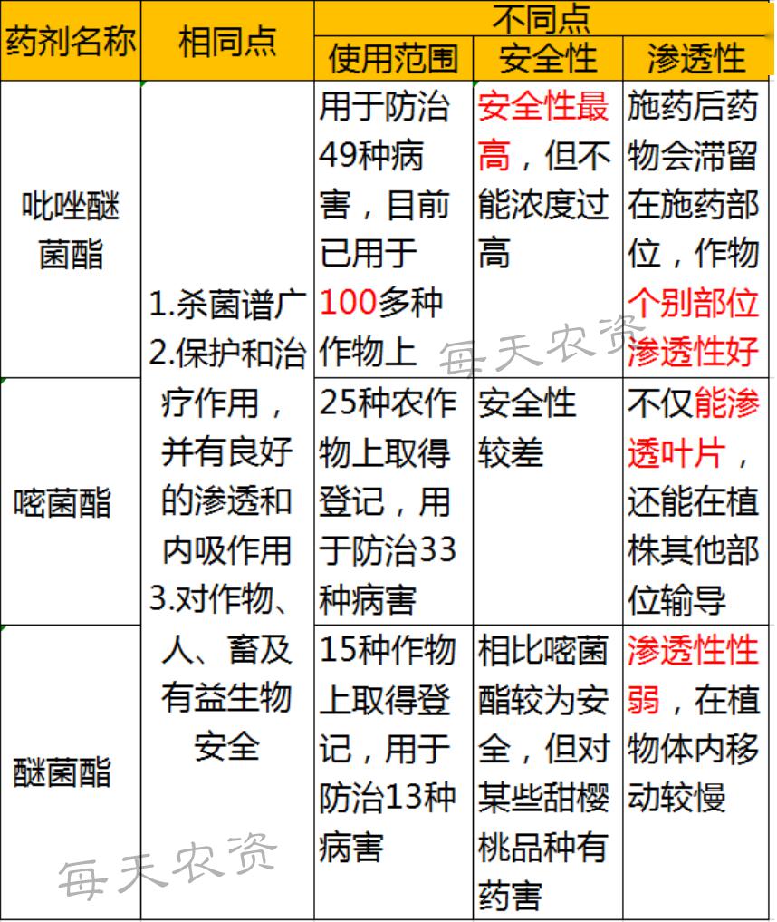 澳门一码一肖一特一中全年,高效性设计规划_WZJ9.179编辑版