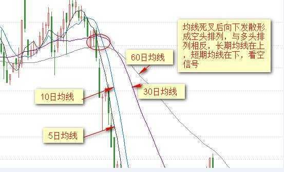 三肖必中三期必出凤凰网2023,高效性设计规划_ZFG83.524改进版