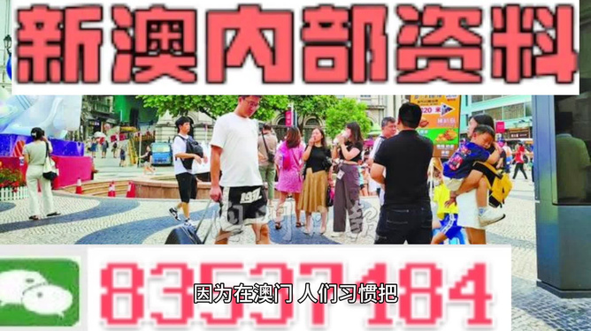 2024新澳精准正版资料大全,实地研究解答协助_CJY58.328幽雅版