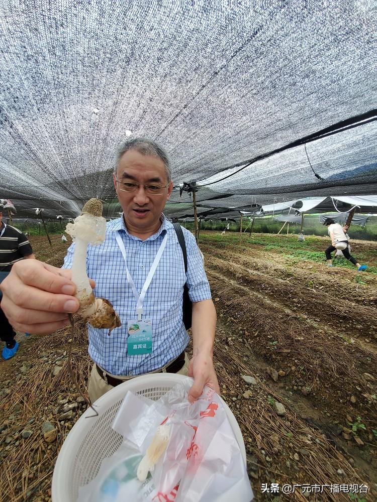 揭秘最新农行利率，洞悉你的金融收益！