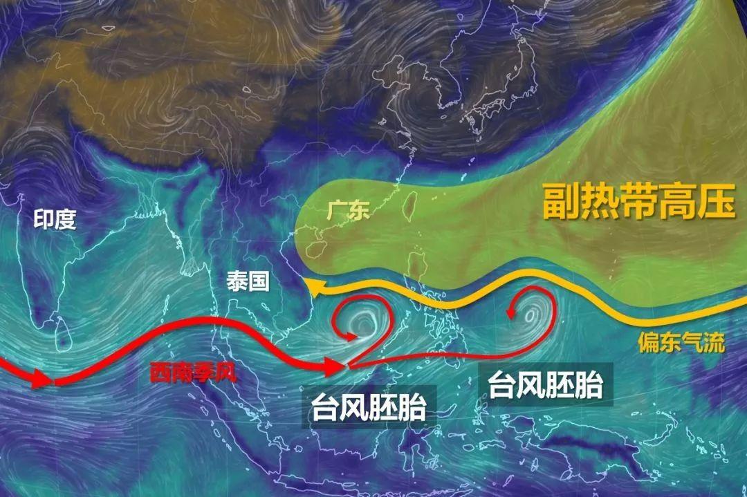 日本最新台风来袭，你准备好了吗？