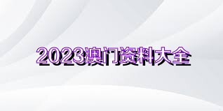 澳门资料大全正版资料2023年免费,数据驱动决策_NLZ83.862零障碍版