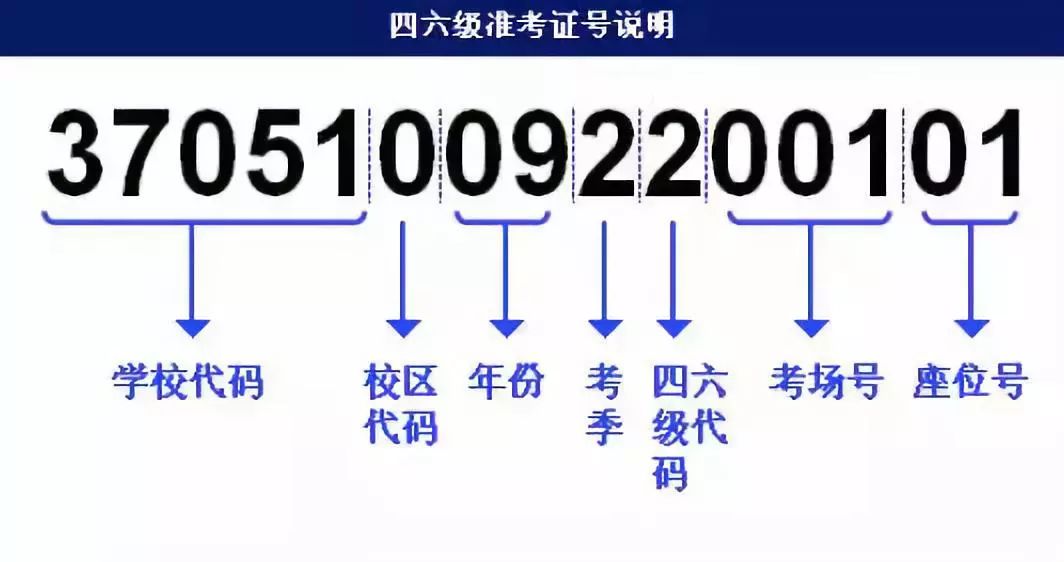 新澳门出今晚最准确一肖,快速解答方案设计_媒体版9.276