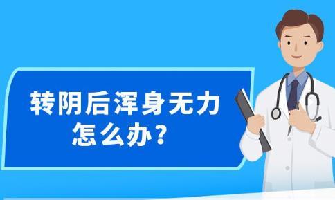 新澳精准资料,可依赖操作方案_仿真版31.369