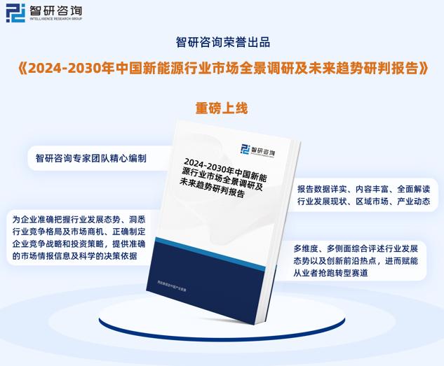 2024年新奥最新资料内部资料,释意性描述解_云技术版54.160