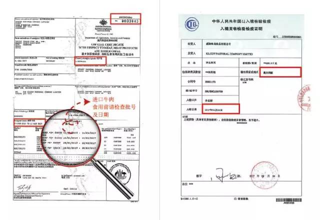 2024新澳开奖结果+开奖记录,处于迅速响应执行_改进版39.631