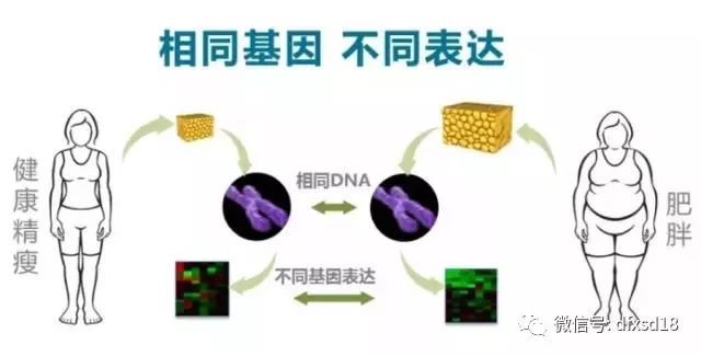 最新假体技术，重塑自信，闪耀人生的每一步旅程