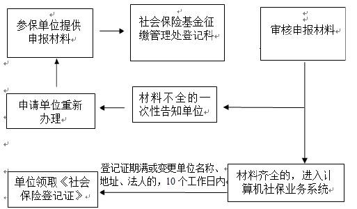 最新异地酒驾处理流程及其温馨日常故事启示