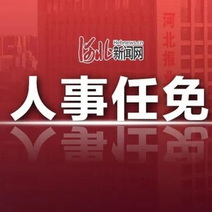 河北省政府最新任免，小镇趣事交织友情纽带