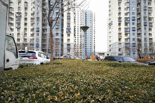 建工双合家园最新房价动态，变化中的机遇，学习与自信的交织乐章