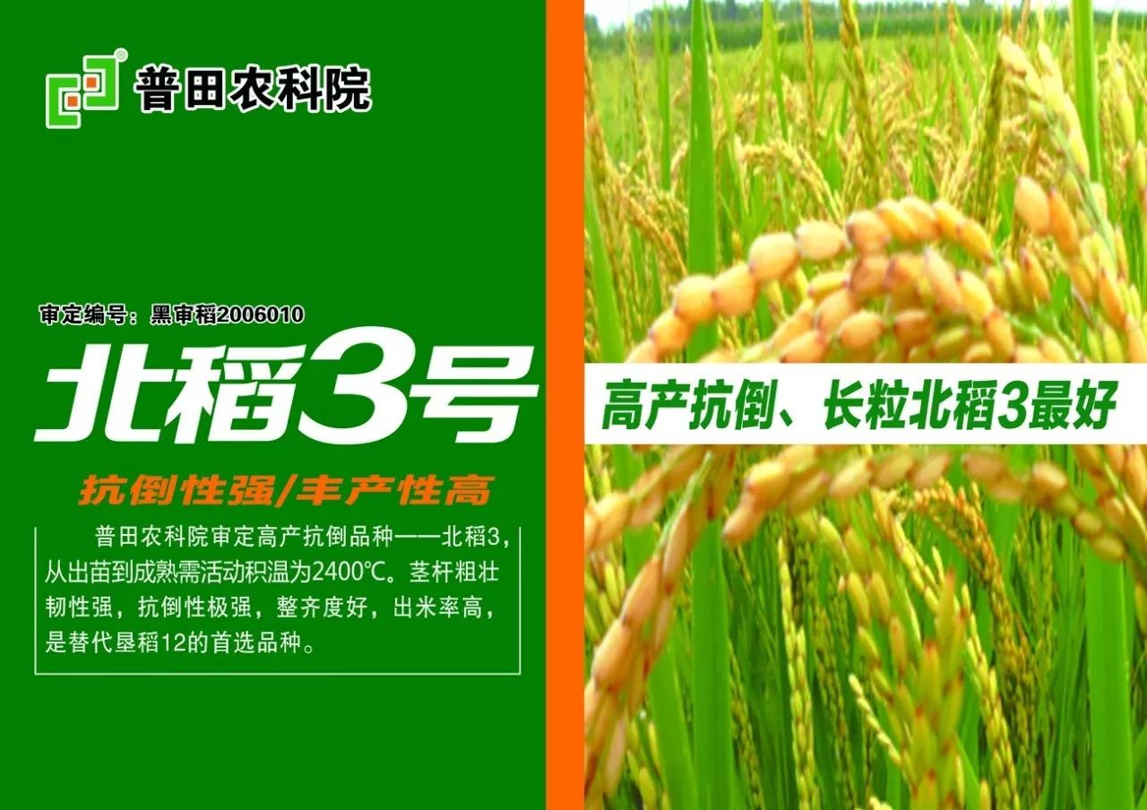 16年水稻最新除草剂，变革力量引领农业新时代的自信与成就