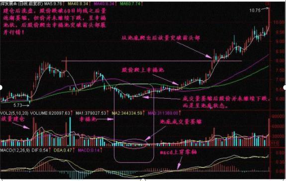 揭秘，关于股票002026的投资潜力与风险分析