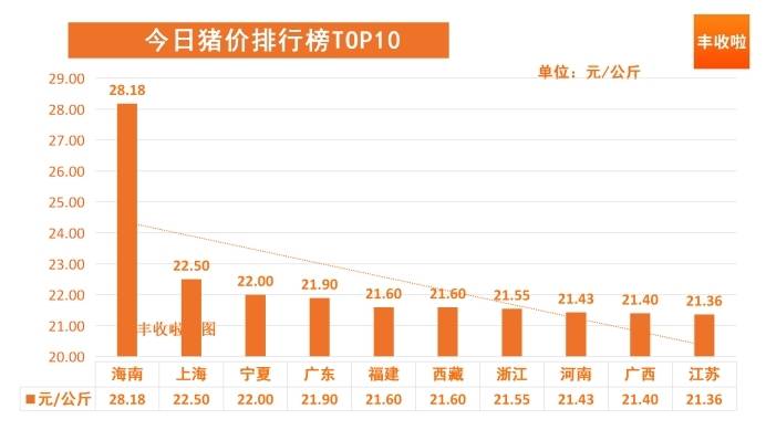 最新生猪价格行情分析与心灵之旅交融的洞察报告