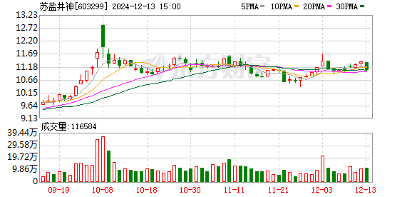 苏盐井神股票，盐业巨头崛起背后的影响与趋势分析