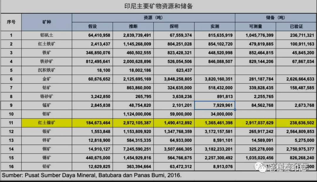 印尼镍矿之旅，最新动态下的温馨陪伴与爱的故事