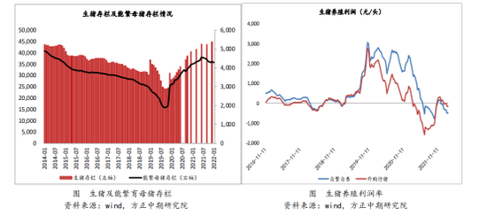 乌俄最新局势,全方位展开数据规划_私人版94.372