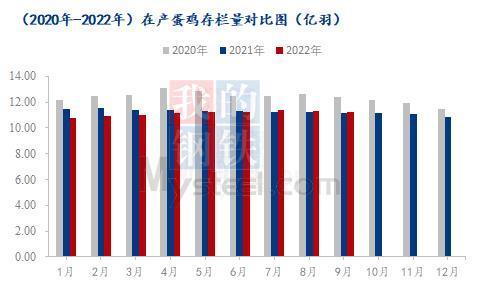 最新鸡蛋价格,数据解释说明规划_极速版94.804