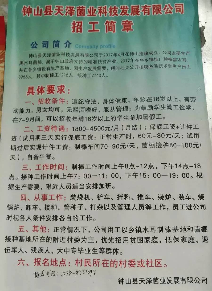 雷甸工业区最新招聘,解析解释说法_并发版94.699