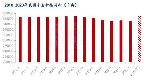 济南小麦价格最新行情，科技引领重塑小麦市场新纪元