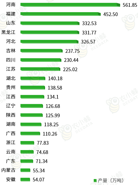 食用菌价格最新行情深度解析及市场走势展望