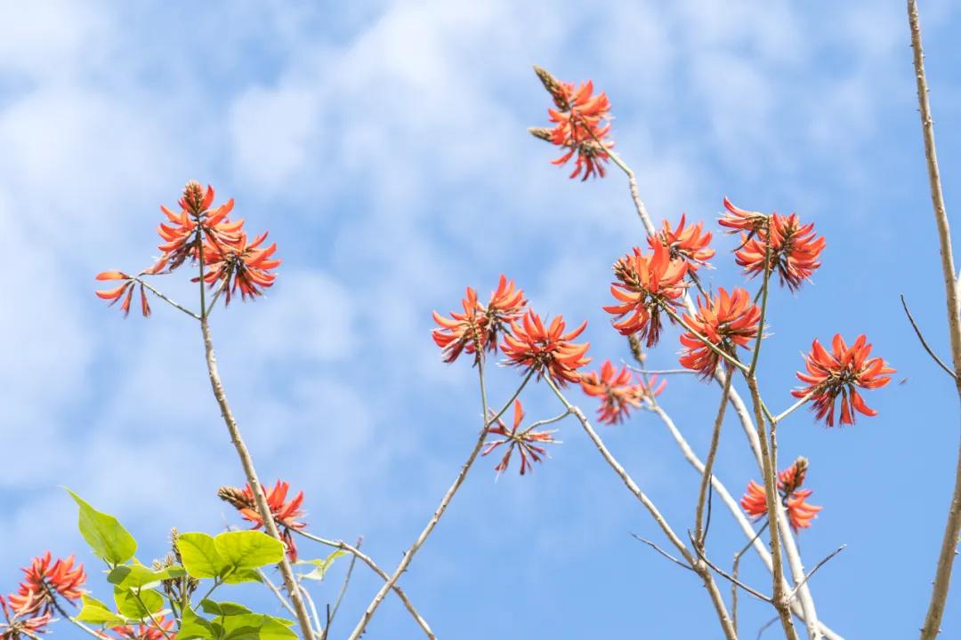 十里方圆最新售价揭秘，探索房价动态，一览繁华生活✨