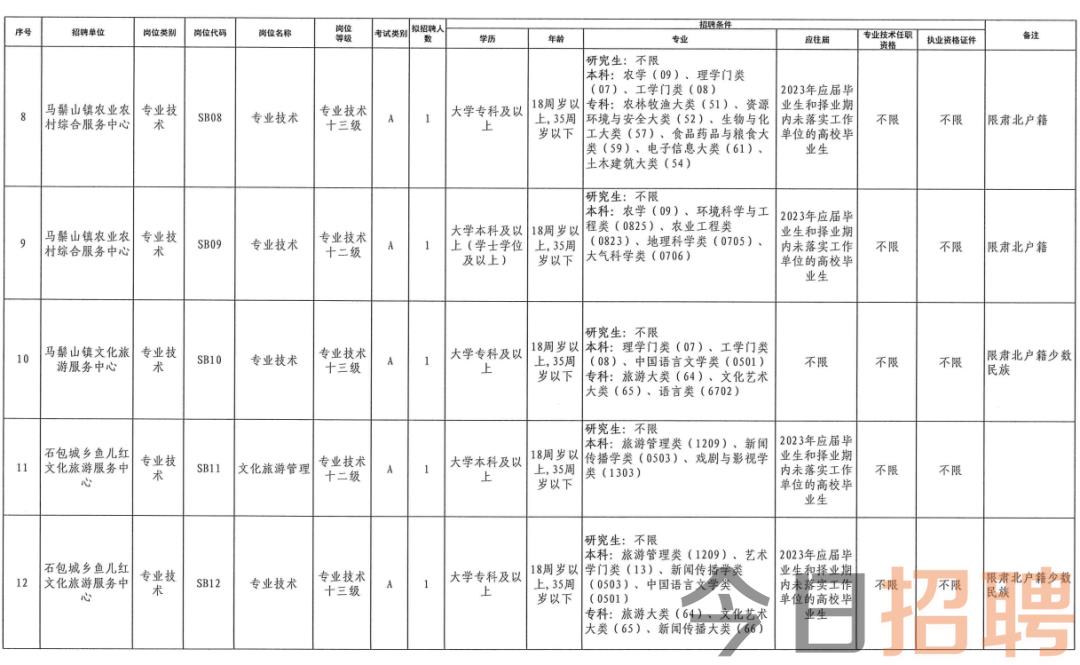 金塔最新招聘信息及获取指南