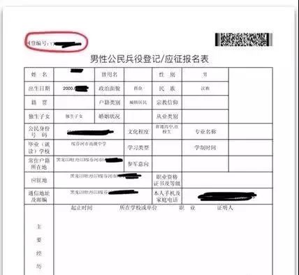 保亭最新确诊步骤详解，初学者与进阶用户指南