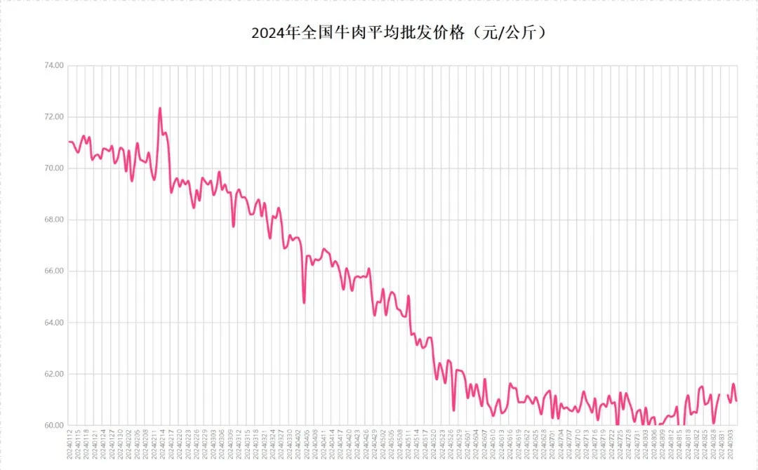 母牛价格最新行情全面解析，洞悉市场动态，掌握价格走势！